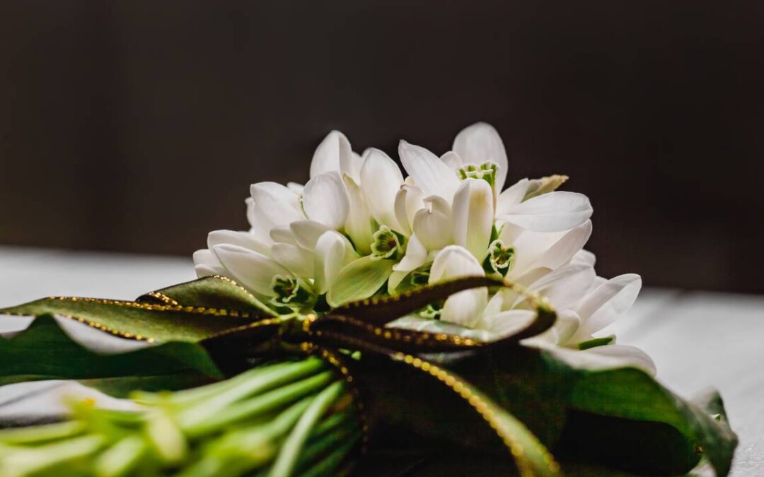 Why Families Are Choosing Green Funerals