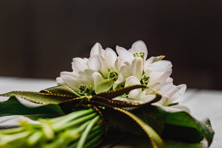 green funerals Manchester